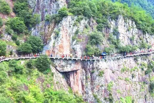 墨西哥首都恢复斗牛活动 遭反对者强烈抗议